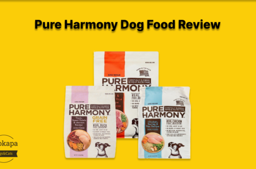 Pure Harmony Dog Food Review