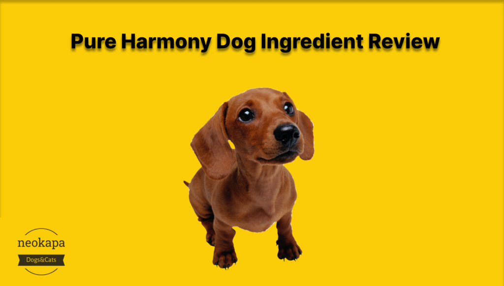 Обзор ингредиентов Pure Harmony для собак