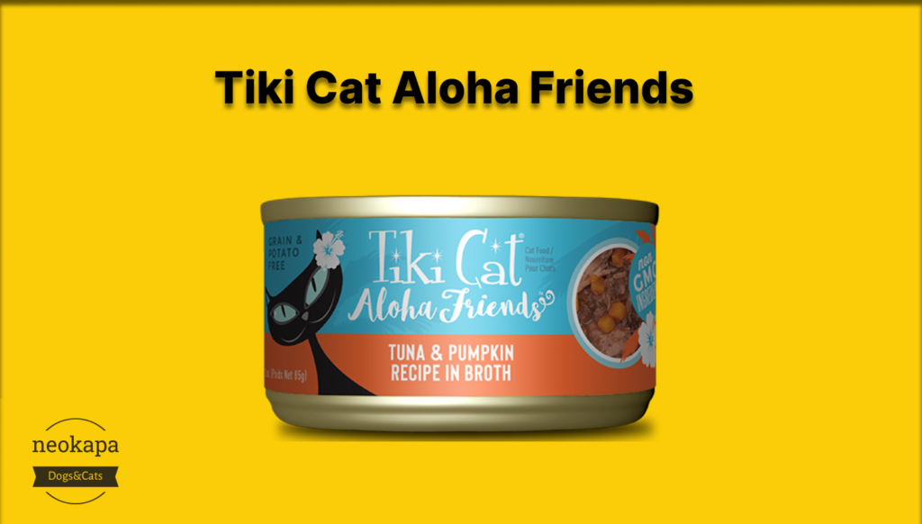 Tiki Cat Aloha Friends