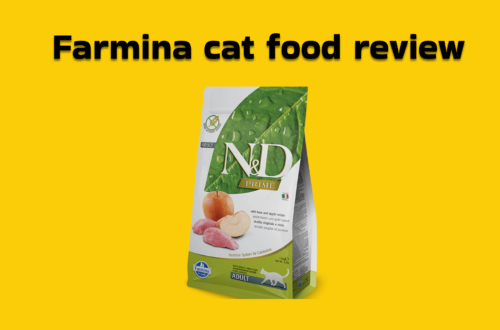 Farmina cat food review